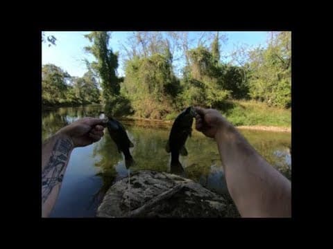 Fishing the Big gunpowder! Fall multi Species!