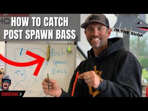 How to CATCH POST SPAWN BASS