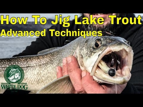 How to Jig Lake Trout - Advanced Techniques - Ice Fishing