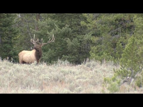 Wyoming game and fish: Fall fishing 2022