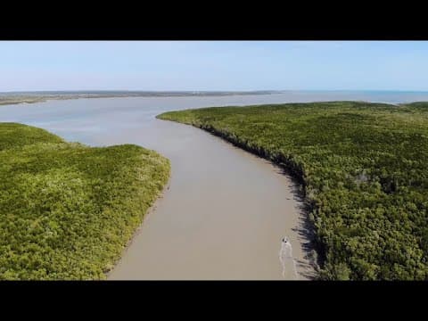Fishing shoal bay, mud crabs &amp; chrome Barra!