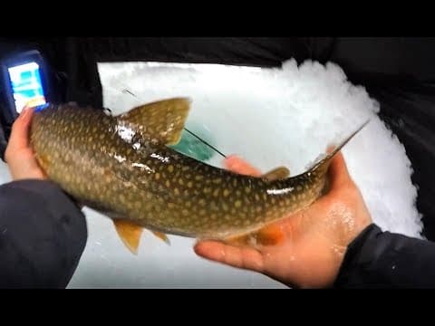 Lake Trout Ice Fishing SUCKS! (Lake George NY)