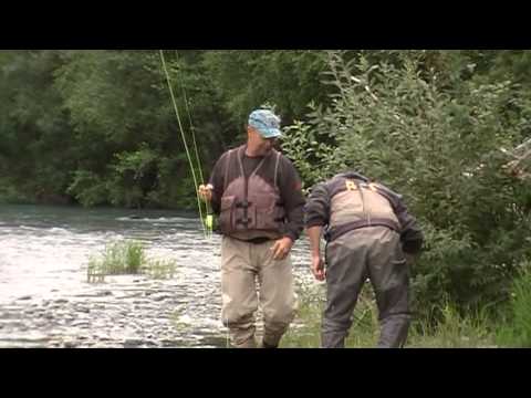 back channel,Kenai river