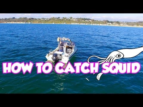 Beginners Guide  Squid Fishing Tips Catching Find Tutorial Jig  How TO