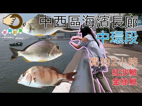 #46 🔥閒釣2小時『香港釣魚 : 岸釣』中西區海濱長廊 - 中環段 {粵語旁白+中英文字幕}🔥