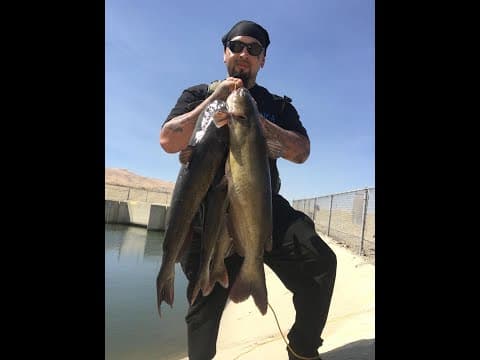 How I Catch Catfish In The California Aqueduct