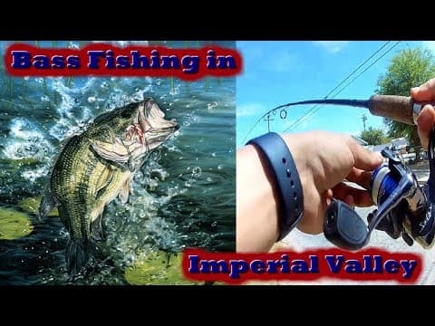 Bass Fishing in Imperial Valley