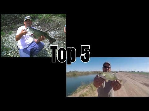 California TOP 5 Freshwater Fishing Locations