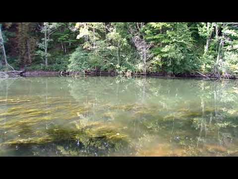 Fishing Adventures at Fisherman&#39;s Park Town Of Newfane New York
