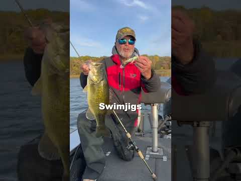 Largemouth Bass Baits for Fall Fishing (Mid 50s Water Temp)🐟 #shorts