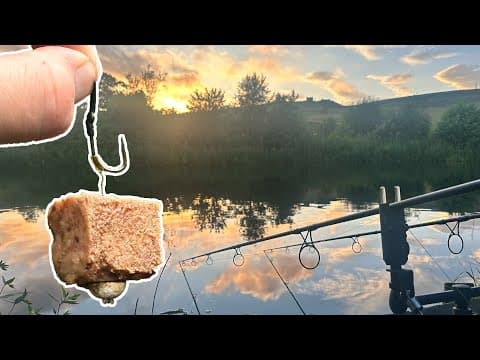 Targeting Wels Catfish | Rigs, Tips and Setup