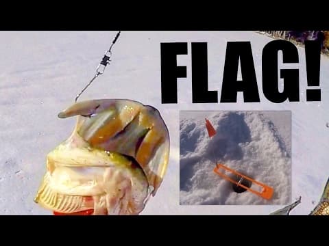 Tipup Pike Fishing