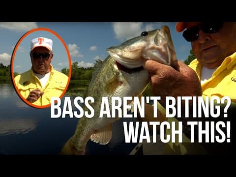 Bass aren&#39;t biting? Watch this!
