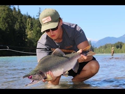 FLY FISHING for PINK SALMON on the Squamish River