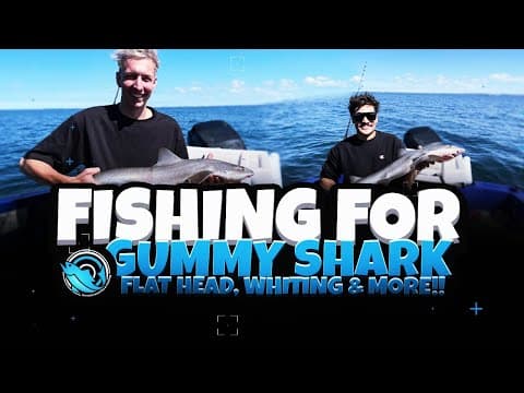 Fishing for Gummy Shark, Flat Head, Whiting & More! (EP 01)