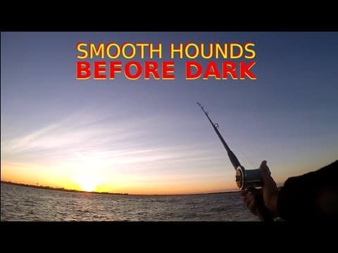 Fishing for Dogfish - SMOOTH HOUNDS BEFORE DARK - Bunker Bait &amp; Sand Sharks
