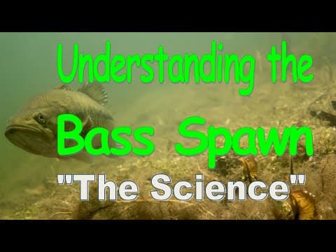 Understanding the bass spawn, pre spawn and post spawn. Headwaters Lake Report