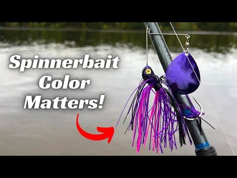 Spinnerbait Color Matters! Make The Right Choice!