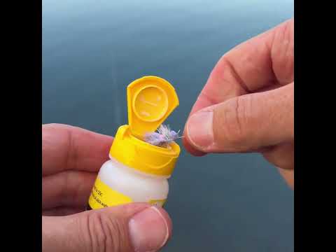 The BEST time of day for fishing hands-down