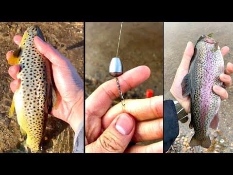 BEST Stocked Trout Setup for Beginners (No Live WORMS Needed!)