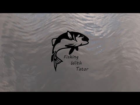 Top Six Best Tasting Freshwater Fish