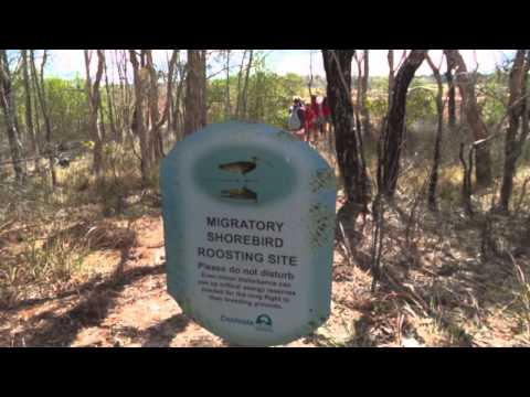 Great Sandy Strait Ramsar Wetland