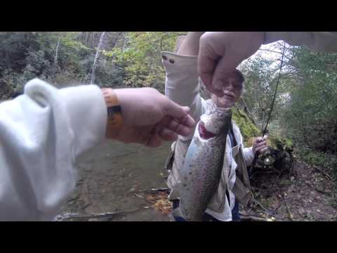 Poor Farm Camping &amp; Fishing, Bath County Va