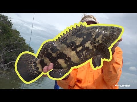 Florida Keys Backcountry Fishing { Islamorada to the Everglades }