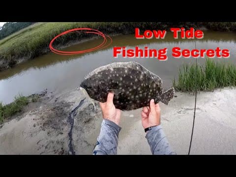 Low Tide Fishing Secrets: Best Lures, Rigs & Strategy For Redfish, Flounder & Trout