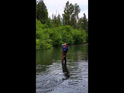 humpy creek alaska
