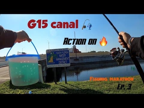 G15 canal 🎣 Multi-Species (Broward co. Florida fishing marathon Ep.3)
