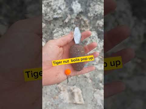 Mamci za šarana *CARPFISHING*