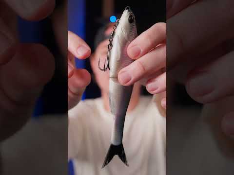 The Tarpon, Snook, and Bass Killer | Berkley Nessie Glide Bait