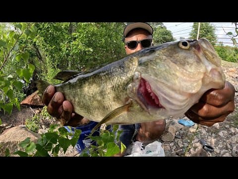 Best Time to Catch Largemouth Bass. #largemouth #fishing