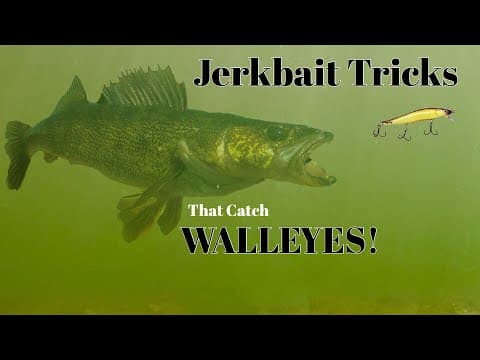 Keys to Catching Jerkbait Fish