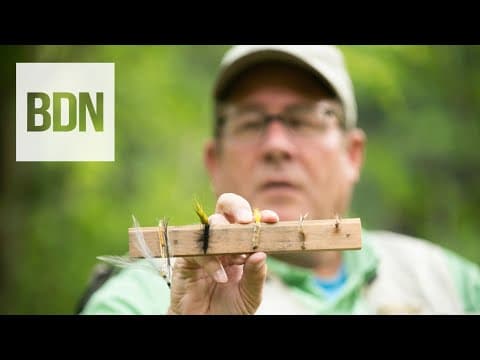5 fly fishing flies you need in Maine