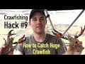 How to Catch Huge Crayfish Crawfishing Hack #9