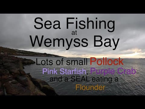 Sea Fishing Scotland - Firth of Clyde - Wemyss Bay