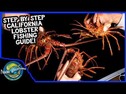 How to CATCH YOUR LIMIT of CALIFORNIA SPINY LOBSTERS! (Hoop Netting Catalina Island)