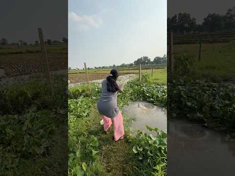 Beautiful lady fisherman catching catfishing in village big canal  #bass #fish #villagelife #fishing
