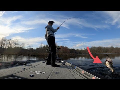 These Fish Were So SHALLOW ll Chickahominy Lake Swim Jiggin'