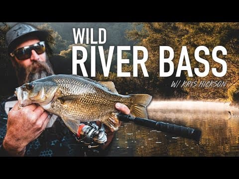 Land-based Bass Fishing