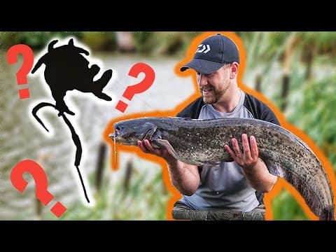 HOW TO CATCH A CATFISH?! - THE BEST BAIT AND RIGS | Specimen Fishing | Brookside Fishery Warrington