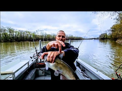 These simple tips CATCH CATFISH of all sizes! (How to catch catfish)