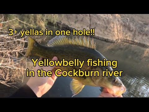 Clearwater yellowbelly fishing in the Cockburn River