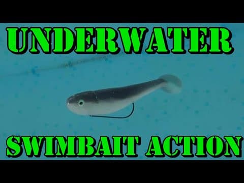 The TRUTH About My FAVORITE Brands | Underwater Swimbait Testing