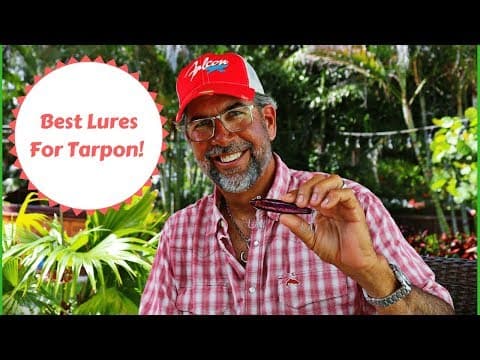 Best Hard Baits To Use When Tarpon Fishing