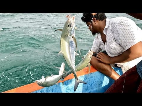 Catching Snowy Grouper Fish, Tang Fish &amp; Blackspot Snapper in the Sea