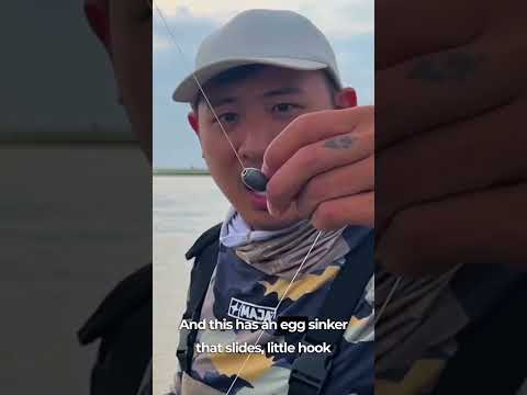 BEST method for LIVE BAIT fishing