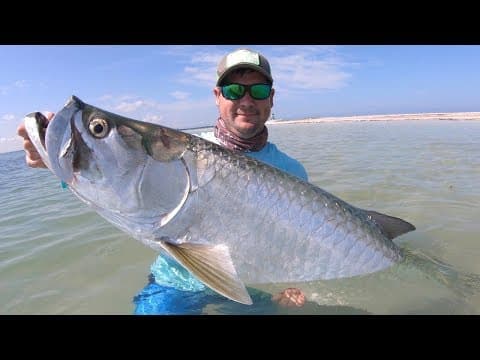 CRAZY Tampa Bay Tarpon Fishing [Tips & Techniques]